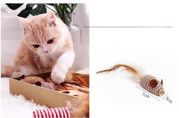 7-in-1_Set_Cat_Toys_Pack_with_Durable_and_Safe_Materials