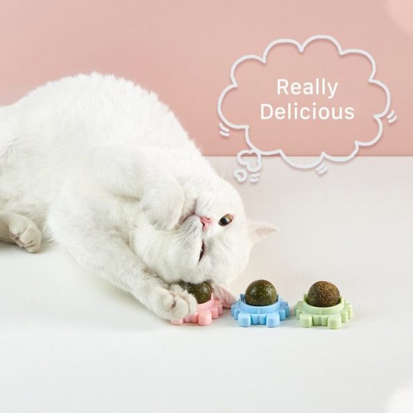 Catnip_Ball_Toy_with_Natural_Catnip_for_Long-Lasting_Fun