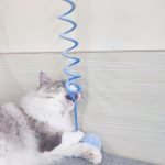 Interactive_Woolen_Spring_Toy_for_Cats_Soft_Fun_Durable_Cat_Toy