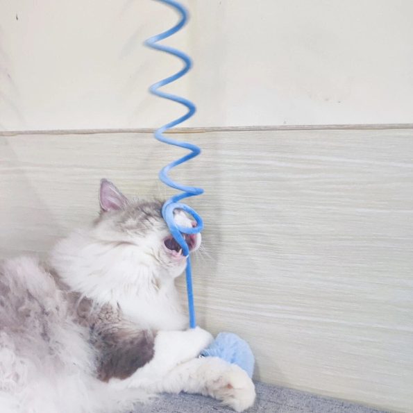 Durable_Woolen_Cat_Spring_Toy_Perfect_for_Playful_Cats_Feline_Exercise