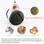 Smart_Cat_Catnip_Toy_with_Wheels_Interactive_Rolling_Cat_Toy_for_Play