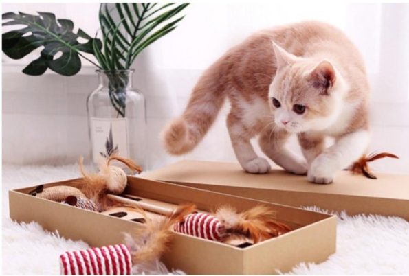 Multi_Toy_7-in-1_Cat_Toys_Pack_for_Active_Indoor_Cats