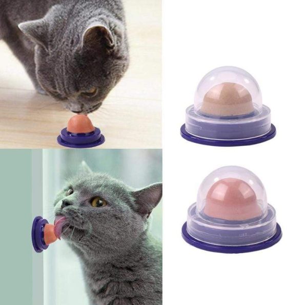 Natural_Nutritious_Appetising_Fish_Cat_Mints_for_Healthy_Cat_Treats_and_Dental_Care