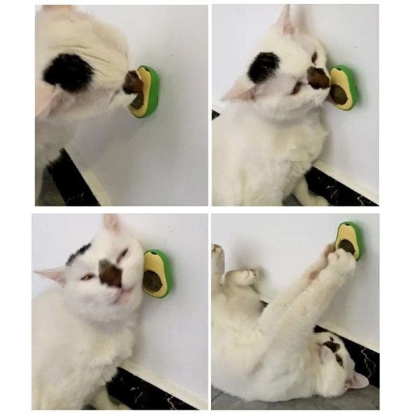 Rotating_Avocado_Catnip_Ball_Toy_Engaging_Exercise_Anxiety_Relief
