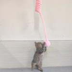 Interactive_Woolen_Spring_Toy_for_Cats_Soft_Fun_Durable_Cat_Toy