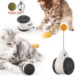 Smart Cat Catnip Toy with Wheels