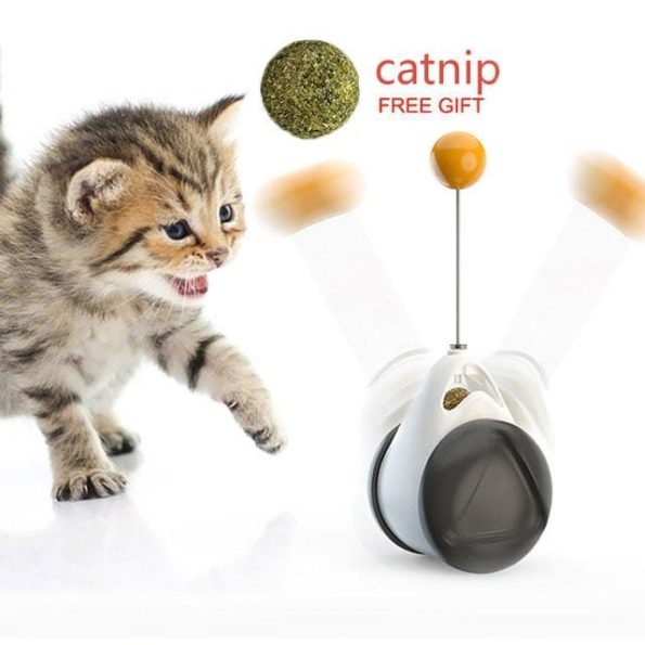 USB_Rechargeable_Smart_Cat_Toy_with_Wheels_Motion-Activated_Catnip_Fun