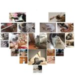 7-in-1_Cat_Toys_Pack_for_Interactive_Play_and_Mental_Stimulation
