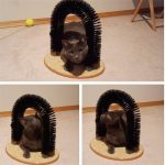 product-image-1673820807