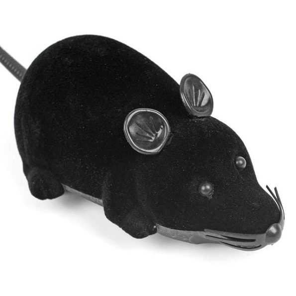 product-image-1634374905