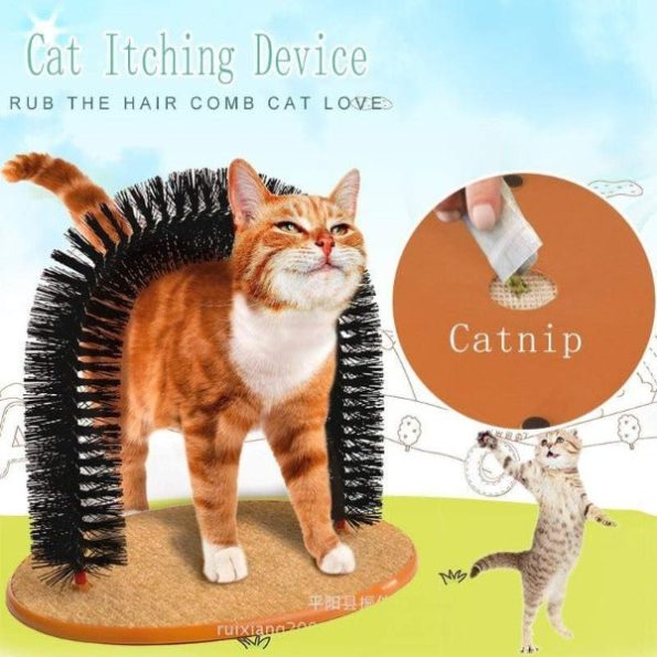 product-image-1673820807