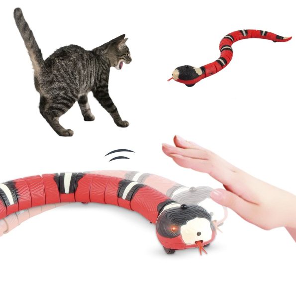 product-image-1848438397
