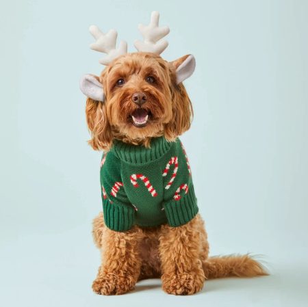 The Foggy Dog Candy Canes Holiday Sweater